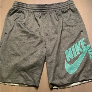 Nike SB Dri-Fit shorts